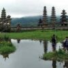 Keindahan Danau Tamblingan: Permata Tersembunyi di Bedugul