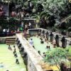 Air Panas Banjar Bali