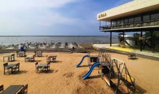 Rekomendasi Kopi Bali: Menyelami Aroma dan Cita Rasa Otentik dari Pulau Dewata
