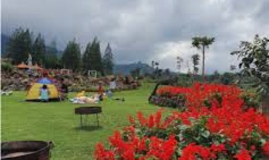 Liburan Tenang di Anjungan Wanagiri dan Danau Buyan Bali