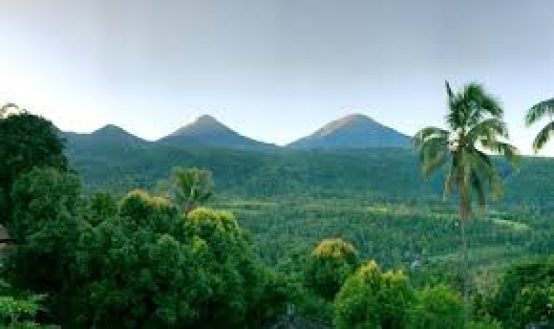 Mengunjungi Desa Wisata Munduk di Bali Utara